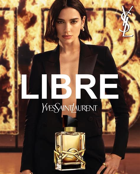 libre model